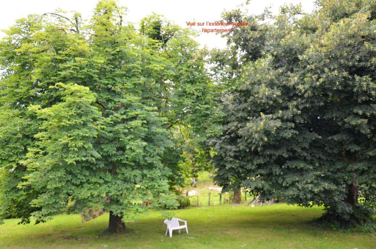 Appartement Charmant Orgnac-Sur-Vezere Avec Jardin Et Parking Экстерьер фото