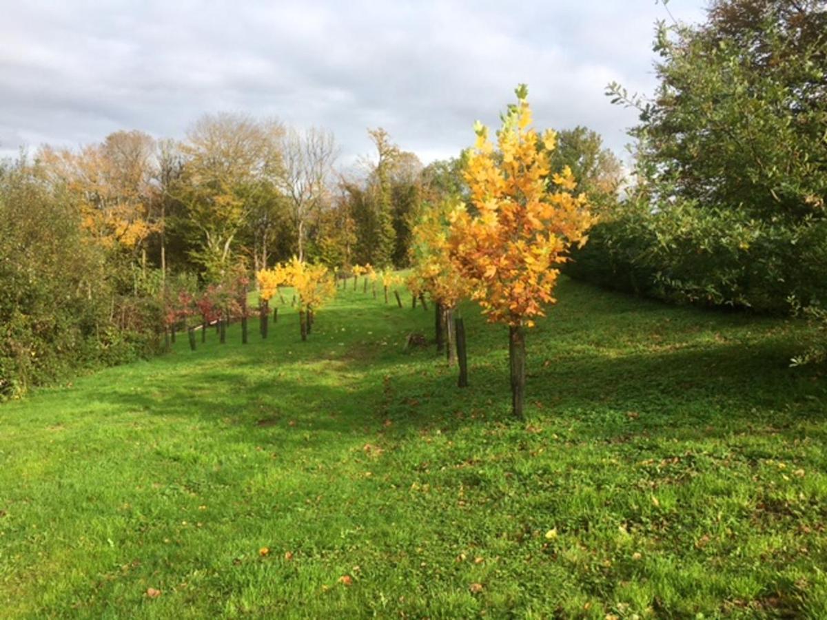Appartement Charmant Orgnac-Sur-Vezere Avec Jardin Et Parking Экстерьер фото